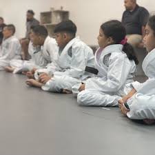 Image result for Mushin Kempo Jiu Jitsu Club