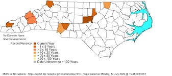 Attēlu rezultāti vaicājumam “Scardia boletella”