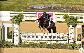 Image result for Patchett`s Green Riding Club