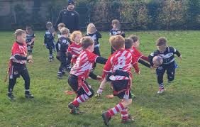 Image result for Pontardawe Rugby Football Club