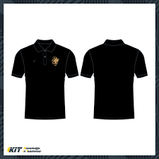 Image result for Llantwit Lions