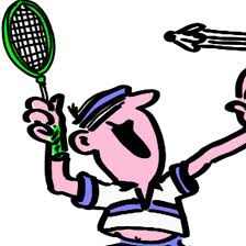 Image result for Somerset Nomads Badminton Club