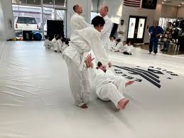 Image result for Mushin Kempo Jiu Jitsu Club