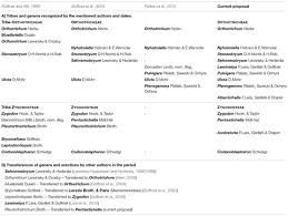 Attēlu rezultāti vaicājumam “Orthotrichum, Nyholmiella”