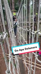 Image result for The Go Ape Experience (Delamere Forest)