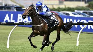 Image result for Thoroughbreds Netball Clubs