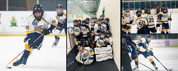 Image result for Norton Cyclones Skater Hockey Club