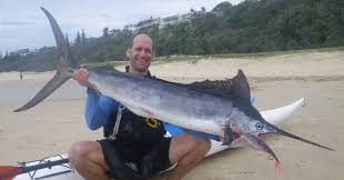 Image result for Istiompax indica