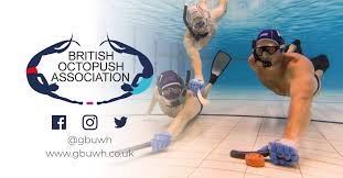 Image result for St Albans Underwater Hockey Club