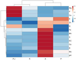 Attēlu rezultāti vaicājumam “Saussurea esthonica flower”