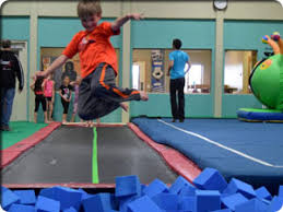 Image result for Fish trampoline and gymnastics club