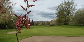 Image result for Tulliallan Golf Club