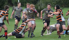 Image result for Old Cranleighan Football Club