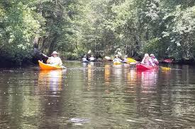 Image result for Regents Canoe Club