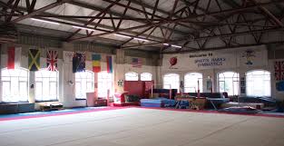 Image result for Asymmetrix Gymnastics Club
