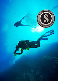 Image result for Darwen Snorkelling Club