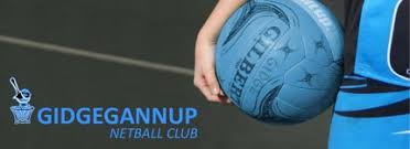 Image result for Newdigate Netball Club