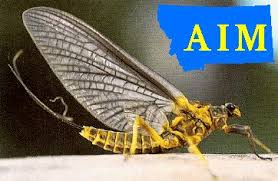 Attēlu rezultāti vaicājumam “Lignydium muscorum macro”