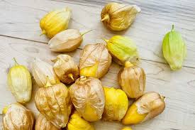 Attēlu rezultāti vaicājumam “Galium schultesii fruit”