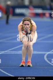 Image result for Pembrokeshire Harriers