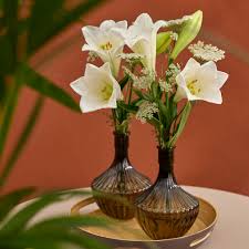 Image result for Lilie