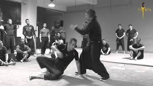 Image result for Silat Scathach