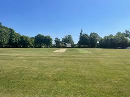 Image result for Alne Cricket Club