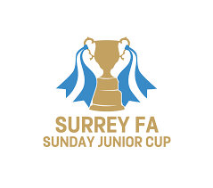 Image result for Oxted & District Junior Fc