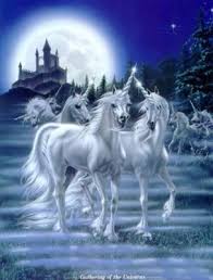 images?q=tbn:ANd9GcTLN7T32PDYJ9DpfsQWQDquo5L8GTZ6A58ywWqcLFfF_f5mTvLBaA