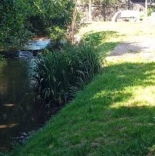 Image result for Harbertonford A F C