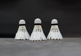 Image result for Nottinghamshire Badminton Club
