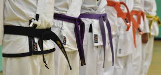 Image result for Alford Choi Kwang-Do