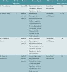 Attēlu rezultāti vaicājumam “Lophozia badensis sporophyte”