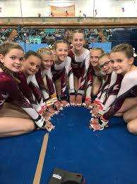 Image result for Lincoln Gymnastics Club