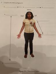 Image result for body midline