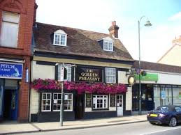 Image result for Ickwell Cricket Club