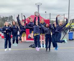 Image result for Ipswich Ladies Netball Club