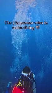 Image result for Three Seas Diving