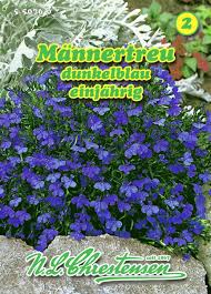 Image result for Männertreu