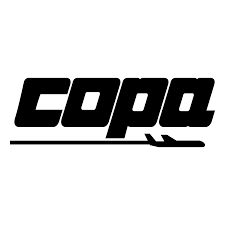 Resultado de imagem para logo da copa