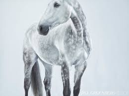 Image result for jill greenberg