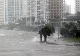 Image result for Hurricanes