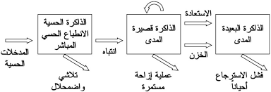 سيكولوجية الذاكرة(التذكر والنسيان)  Images?q=tbn:ANd9GcTLPMFxOL8grRTLIt_pef7B8PKsRw4dcGmLLCAcmcJcTYHO4Pec