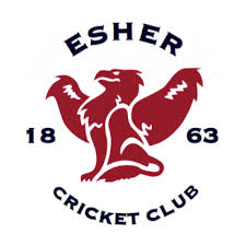 Image result for Shere Cricket Club