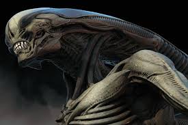 Image result for xenomorph