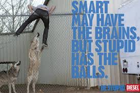 Image result for stupid diesel