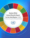 UNSDG | System-Wide Annual Results Report for the Arab Region ...