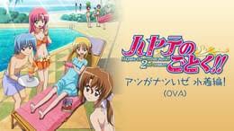 「西沢一樹 ハヤテのごとく!」の画像検索結果