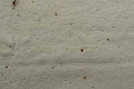 Attēlu rezultāti vaicājumam “Skeletocutis”