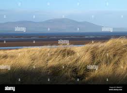 Image result for Solway
